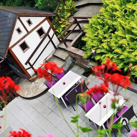 Hotel Theis-muehle 3*