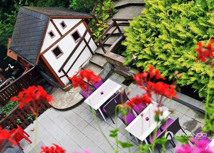 Hotel Theis-muehle 3*